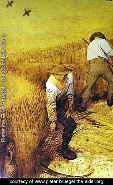 Pieter the Elder Bruegel - The Corn Harvest (August)