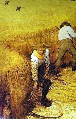 Pieter the Elder Bruegel - The Corn Harvest (August)