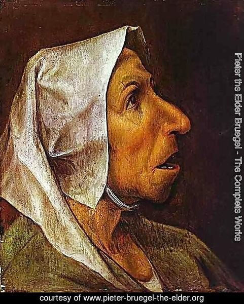 Portrait of an Old Woman 1563
