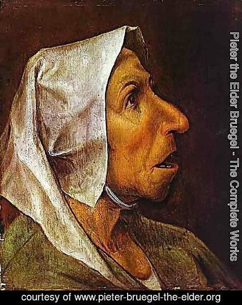 Pieter the Elder Bruegel - Portrait of an Old Woman 1563
