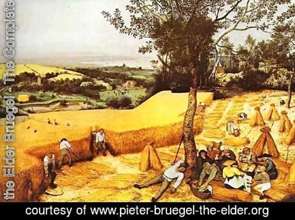 Pieter the Elder Bruegel - The Harvesters