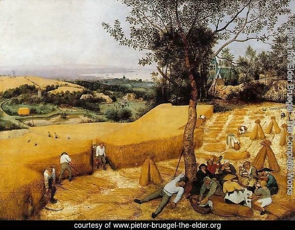 The Corn Harvest 1565